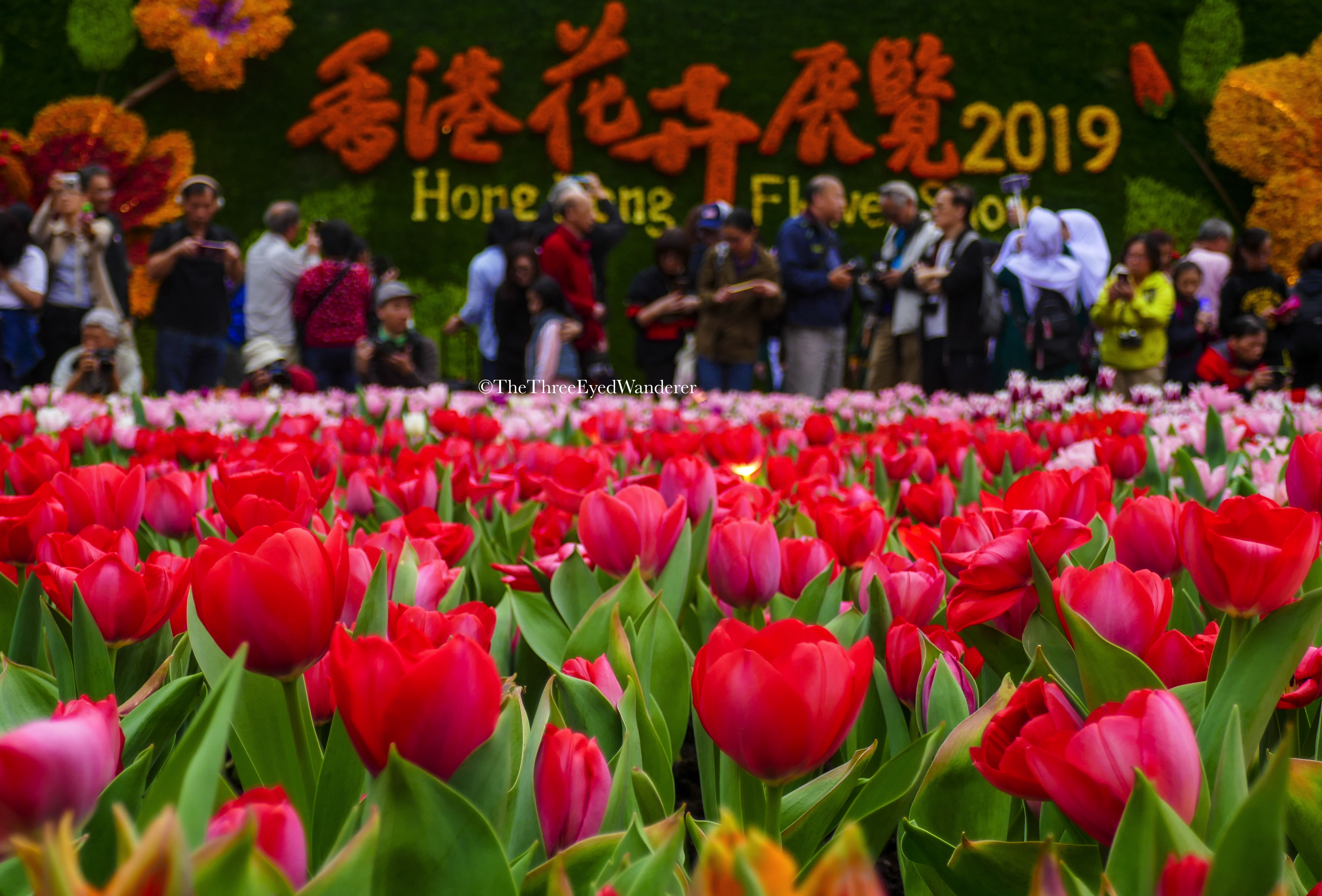 Hong Kong: Flower Show ’19